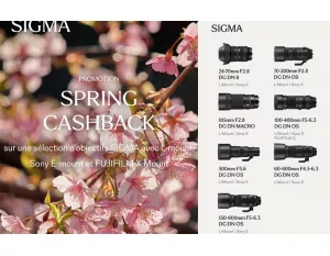 SIGMA SPRING Cashback