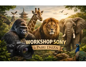 WORKSHOP SONY - PAIRI DAIZA