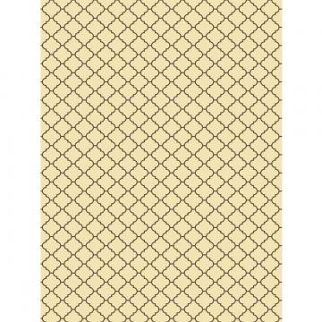Sienna Modern Vintage X-Drop Backdrop